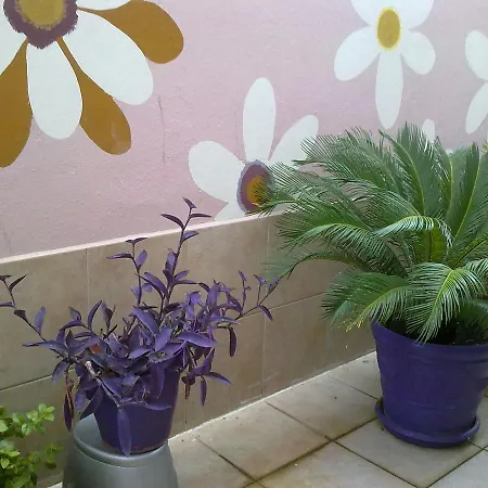 Hotel Kaya 3*